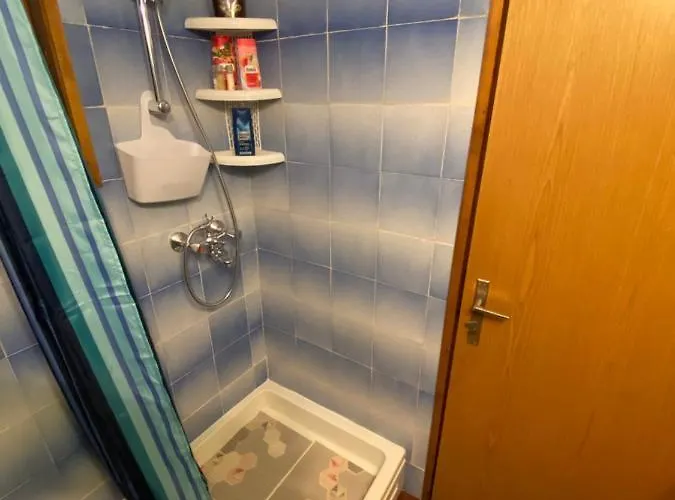 Brvnara Sanmari_forest Ledenice